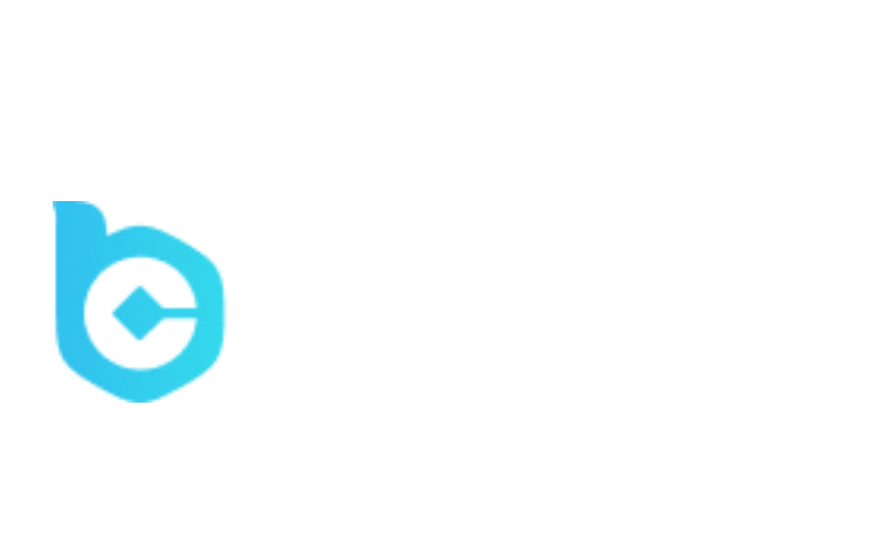 bcvn1.info